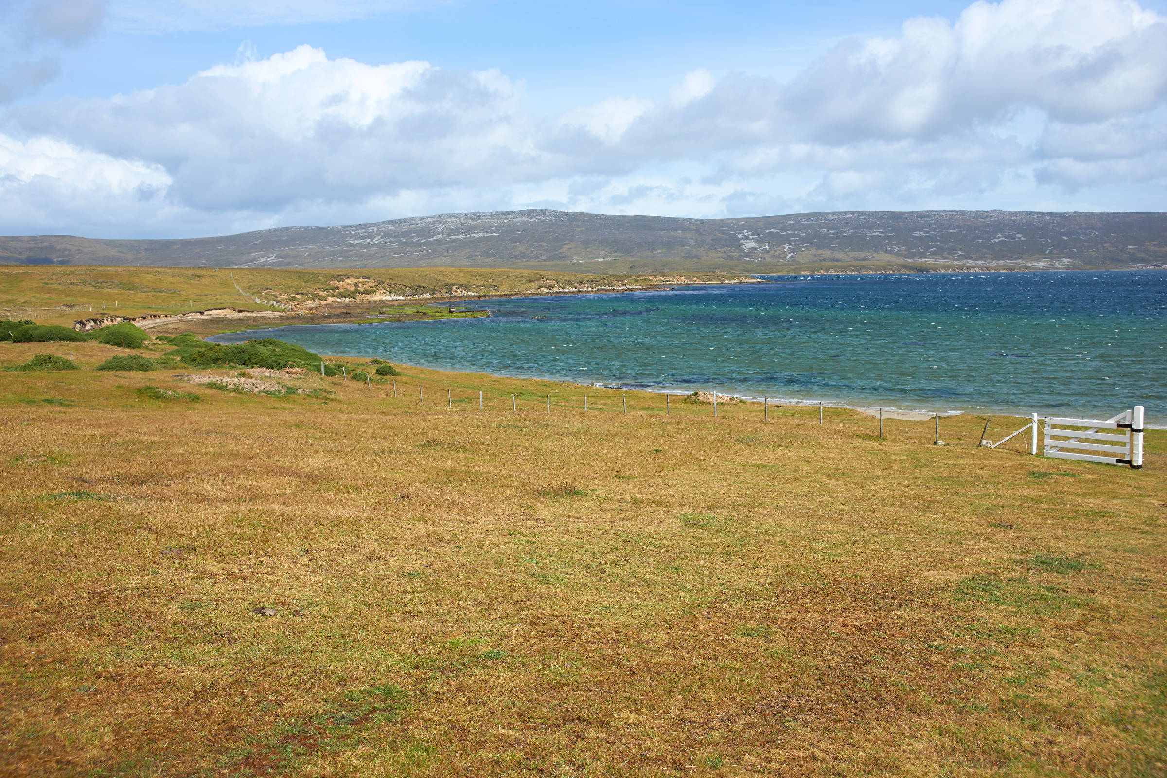 172 east falkland.webp